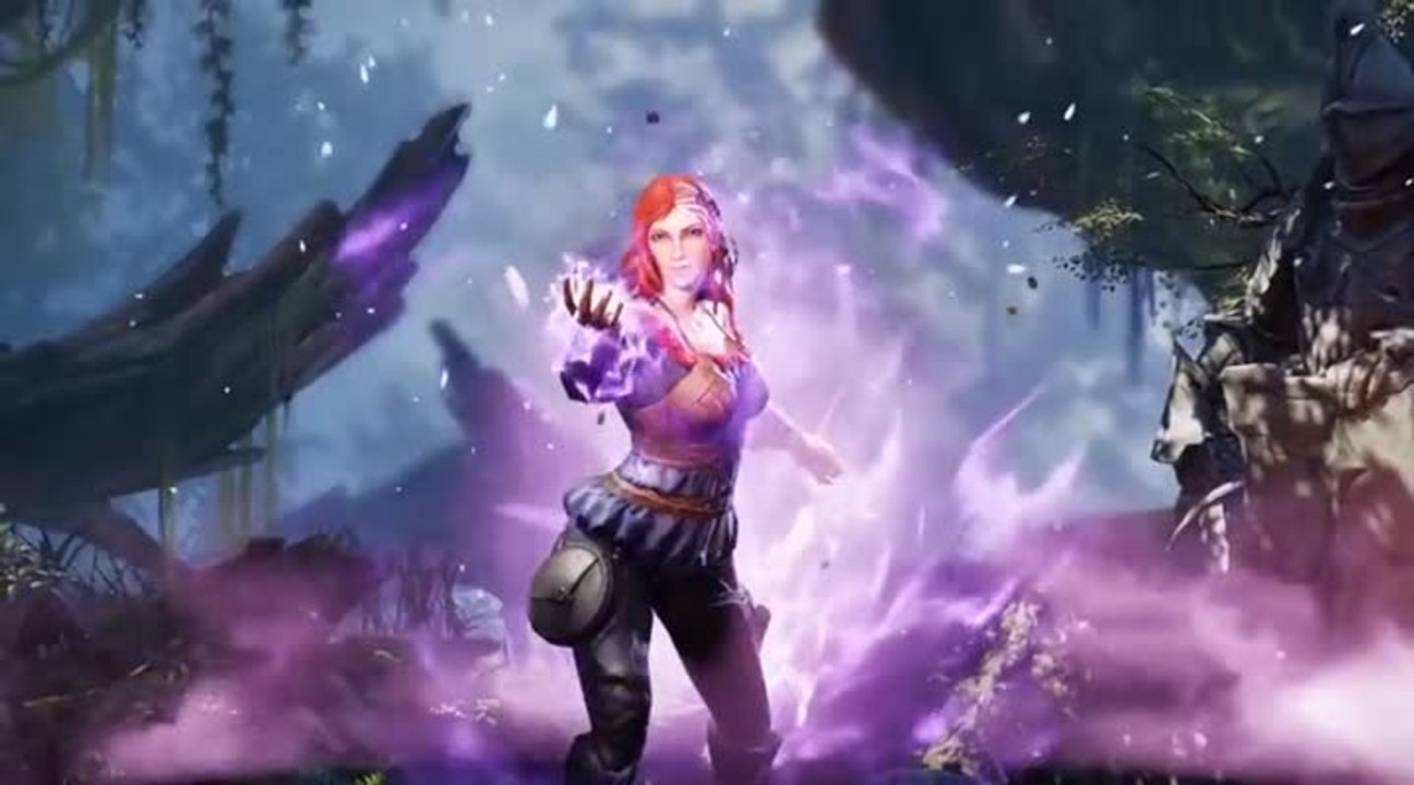 Divinity : Original Sin II