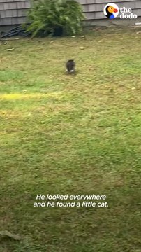 Phone-Sized Kitten Turns Guy Into A Cat Person