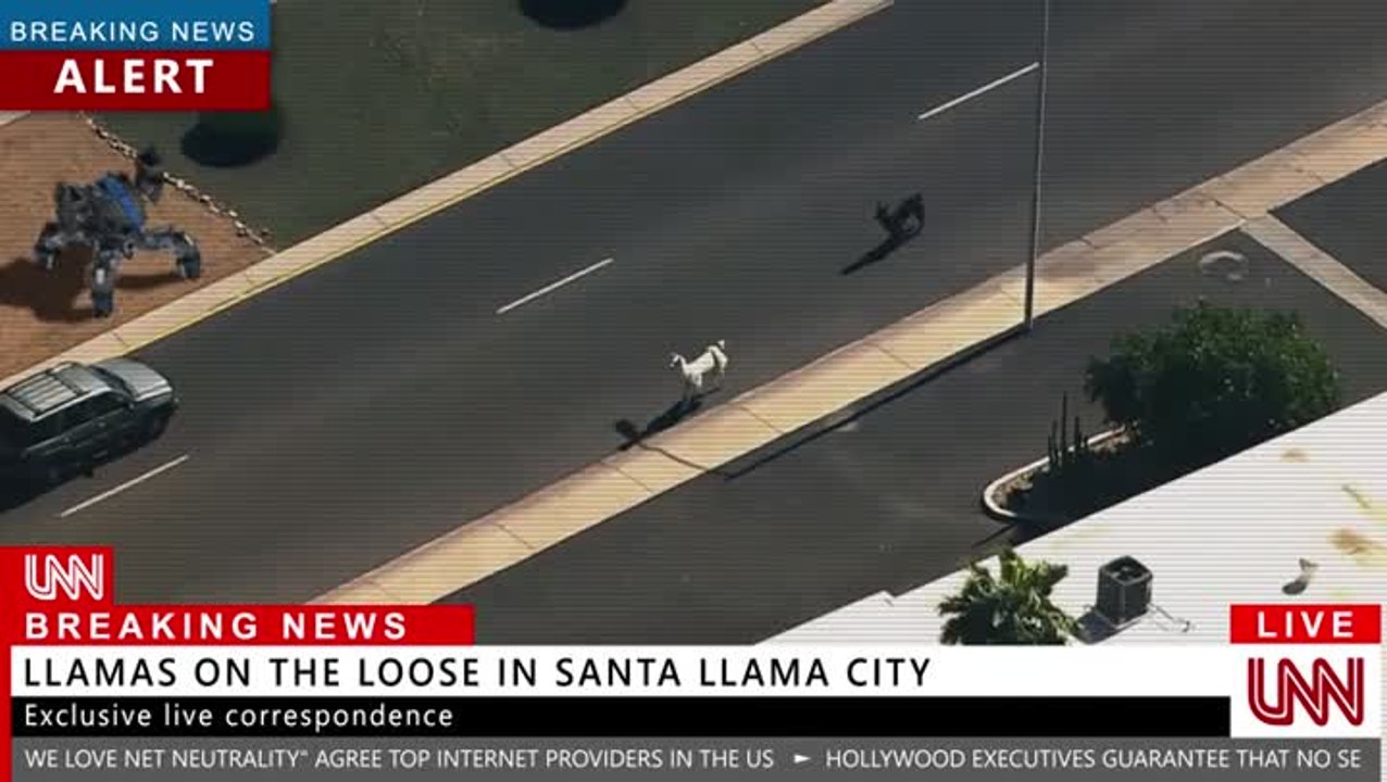 Vicious Attack Llama Apocalypse -