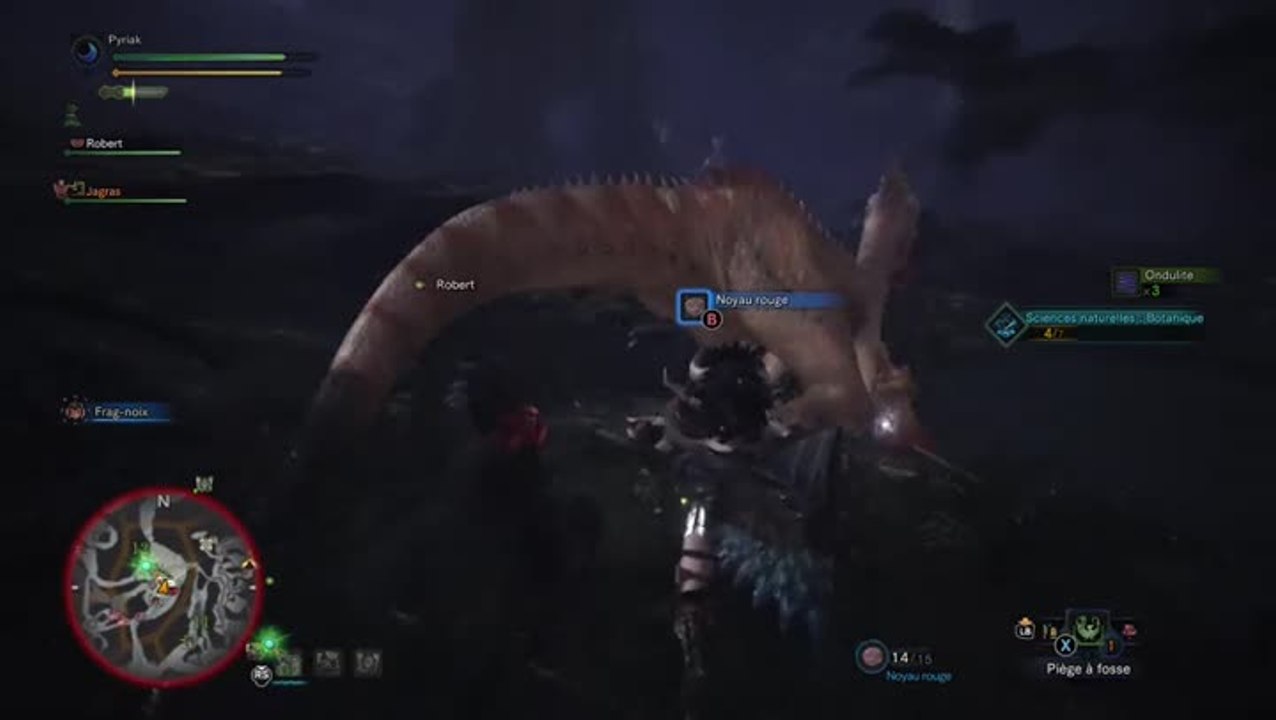 Capture MHW