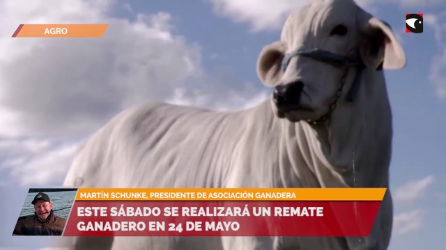 Este sábado se realizará un remate ganadero en 24 de Mayo
