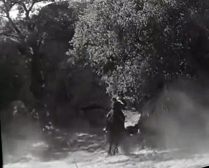 The Lone Ranger S01 E10