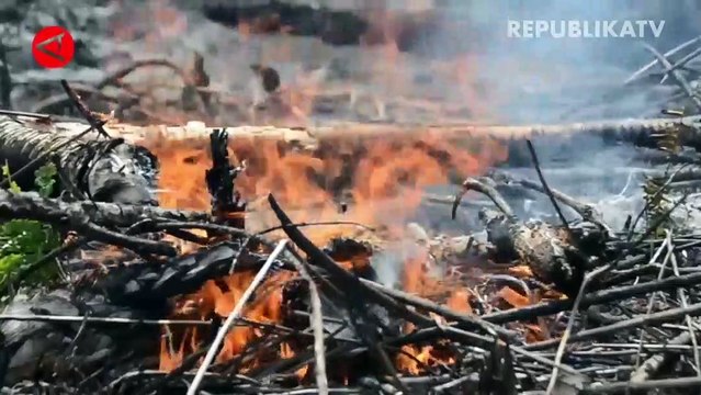 BMKG Imbau Waspadai 373 Titik Panas di Kalimantan Barat