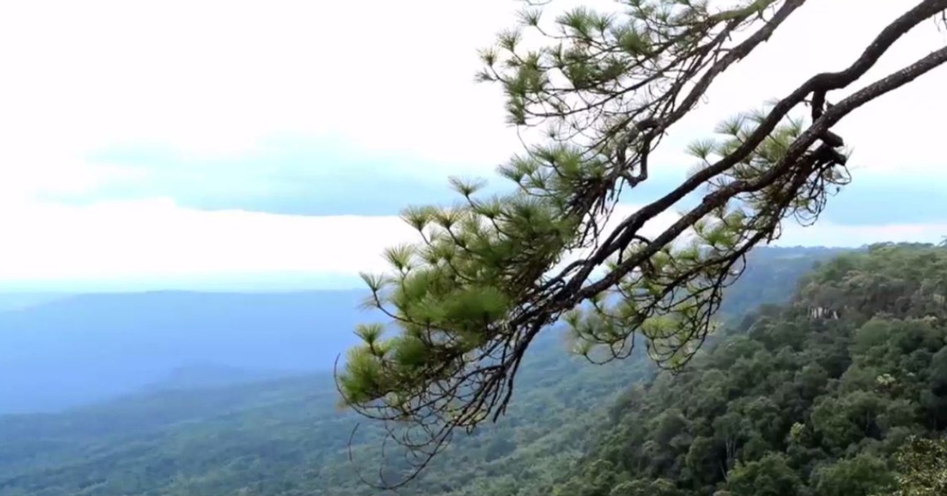 9 ข่าวค่ำ ช่วงที่ 5 วันอังคารที่ 29 มีนาคม 2565