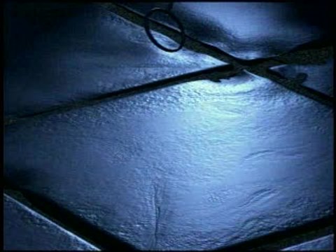 CY Girls : Des filles qui n'ont froid ni aux yeux ni...