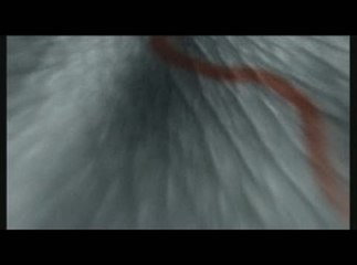 Colin McRae Rally 3 : Spot TV