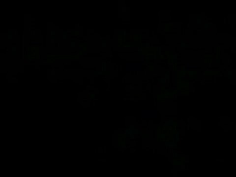 Baldur's Gate : Dark Alliance II : La saga continue