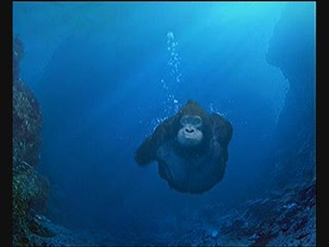 Donkey Kong Country : Spot TV