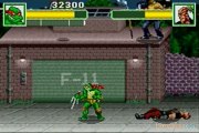 Teenage Mutant Ninja Turtles : Duo de choc