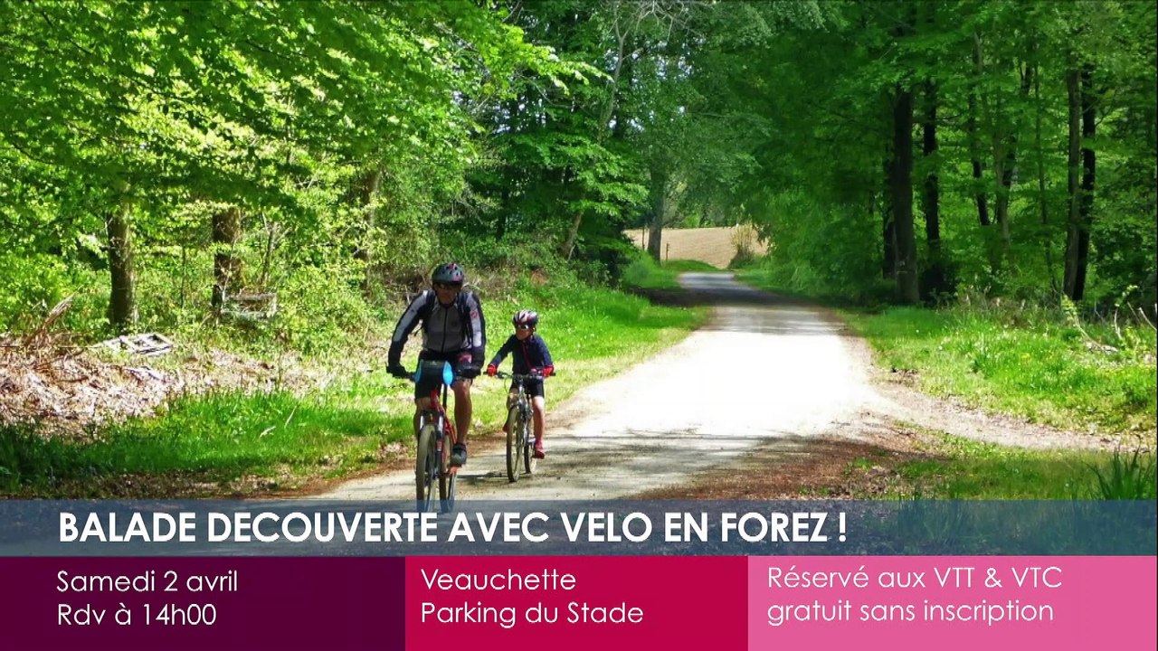 Toutes vos sorties dans la Loire !