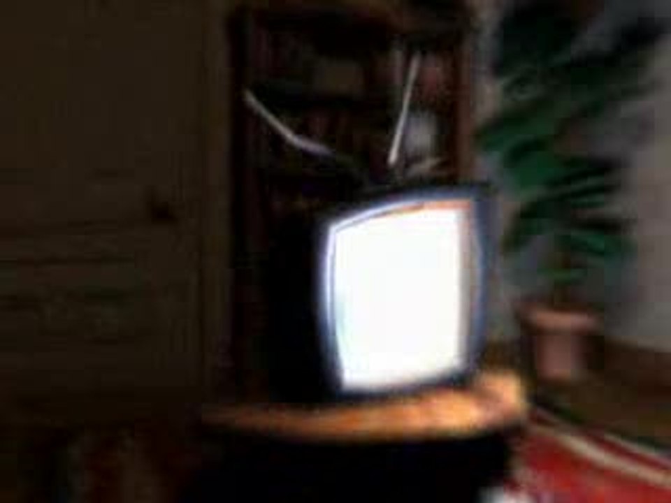 Un Voisin d'Enfer ! : Aperçu du jeu