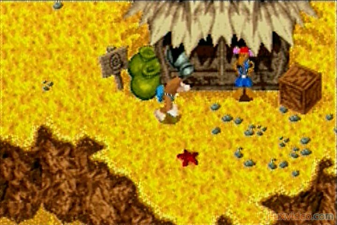 Banjo-Kazooie : La Revanche de Grunty : Kazooie où es-tu ?