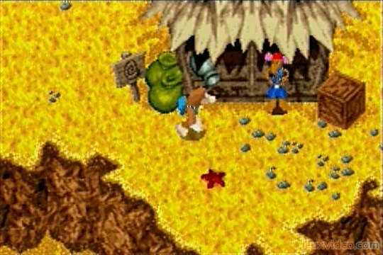 Banjo-Kazooie : La Revanche de Grunty : Kazooie où es-tu ?