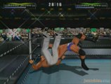 WWE Wrestlemania XIX : Tatouage VS blingbling