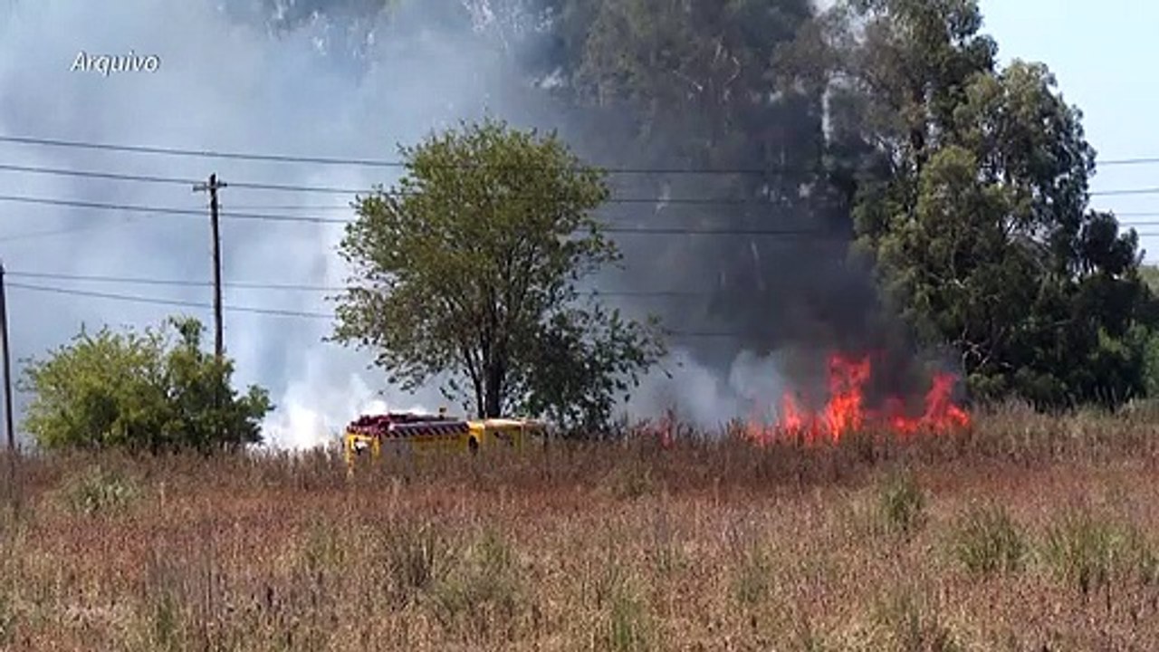 Proteger 30% do planeta é apenas o começo