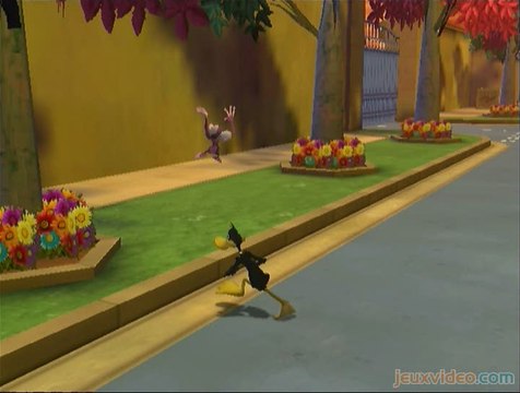 Les Looney Tunes Passent à l'Action : Viens ici le singe !