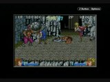 Double Dragon Advance : Gameplay