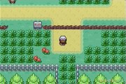 Pokémon Version Vert Feuille : L'aventure pokémon