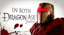 Dragon Age : Origins : L'armure de sang de dragon