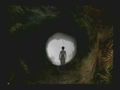 Paradise : Gameplay dans les marais