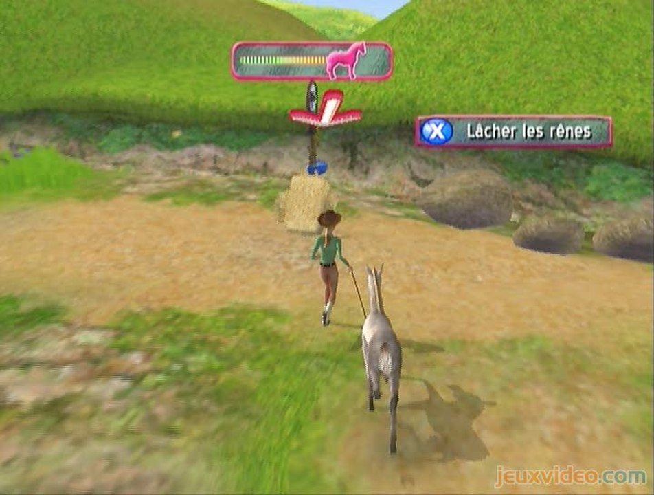 Barbie Horse Adventures : Wild Horse Rescue : La vie en rose