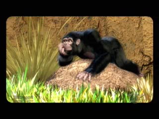 Zoo Tycoon 2 : Trailer