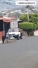 Hombre hurtó un ataúd de una funeraria en Alajuelita