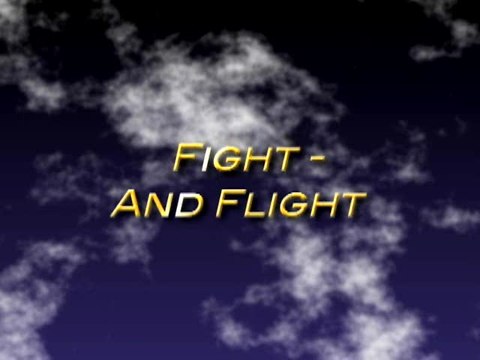 Dragon Ball Z : Supersonic Warriors : Fight and flight