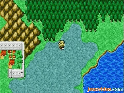 Final Fantasy I & II : Dawn of Souls : Chocobo