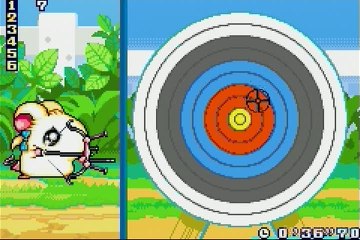 Hamtaro : Ham-Ham Games : Tir à l'arc