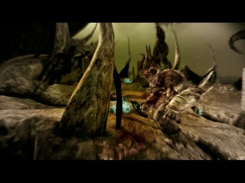 Dragon Age : Origins : Au coeur du combat 1