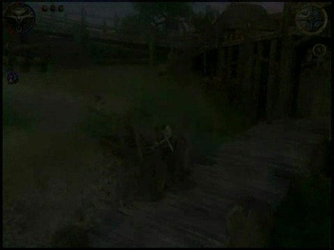 The Witcher : L'environnement et les graphismes