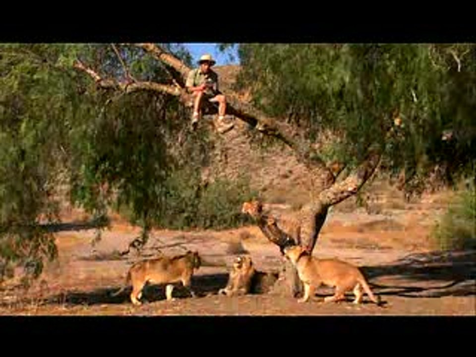 Metroid Prime : Hunters : Safari