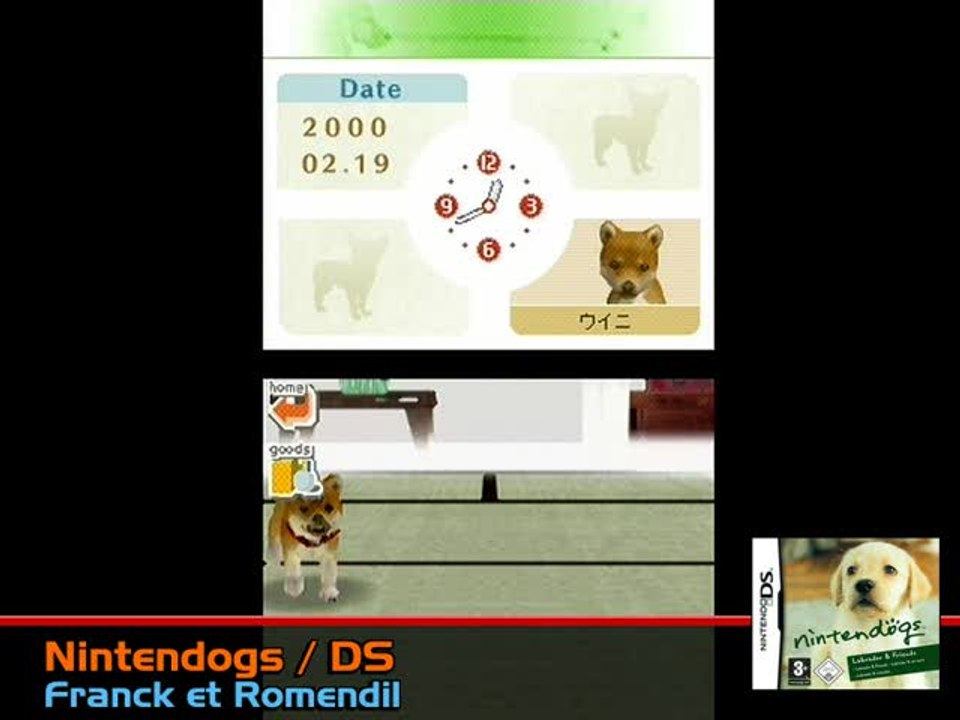 Nintendogs : Labrador & ses Amis :
