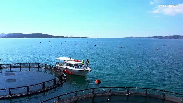 Fishing for gender equality: empowering women in Europe's seafood sectors