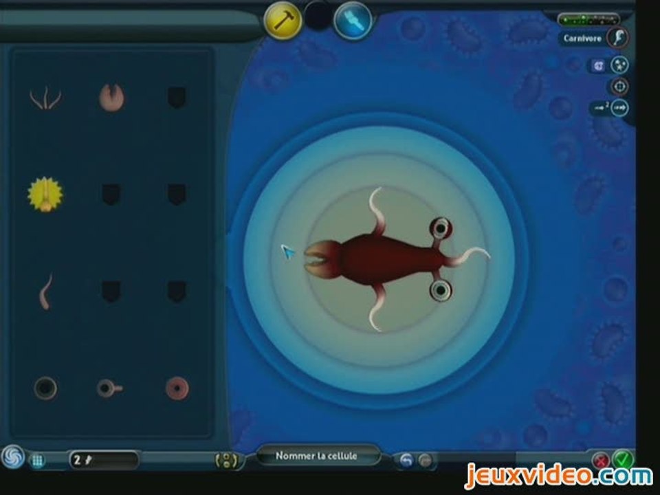 Spore : La phase cellulaire