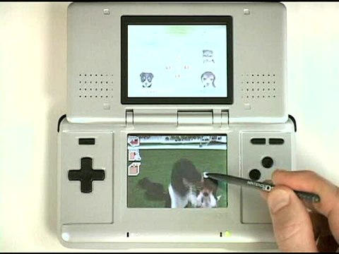 Nintendogs : Labrador & ses Amis : Le chien parfait
