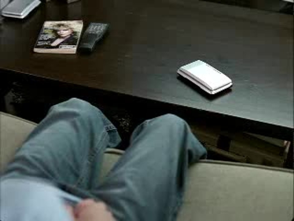 Nintendogs : Labrador & ses Amis : Pub TV