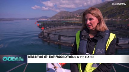 «Больше равенства и разнообразия пошло бы отрасли на пользу»