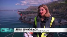 Il settore della pesca ha bisogno di 
