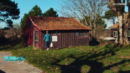 La acuicultura ha dejado de ser "trabajo de hombres"