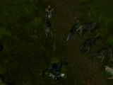 Neverwinter Nights 2 : Système de combats