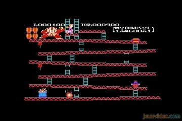 Donkey Kong : Singe enragé