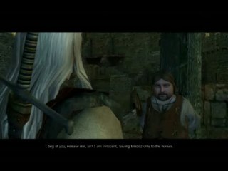 The Witcher : Story show