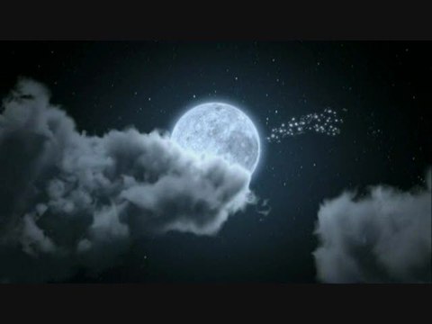 Neverwinter Nights 2 : Duel au clair de lune