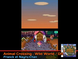 Animal Crossing : Wild World : Village paisible
