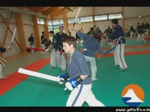 Stage Yoseikan Budo Maitre Mochizuki Villiers le Bel 2006