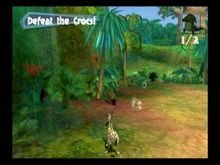 Madagascar : Wild town