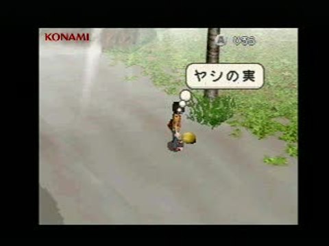 Lost in Blue : Gameplay