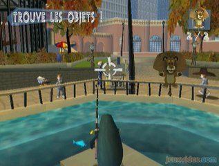 Madagascar : Séance de pêche avec les fameux pingouins du film!